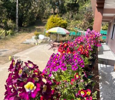 Aritar House | Elves Homestay