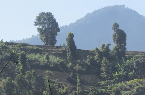 Kathmandu House | Explore, experience, educate