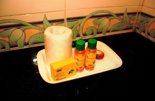 Tirupati Hotel | Fabhotel Srinivasa Guest House