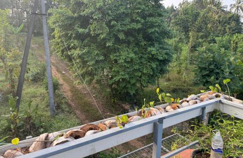 Irinjalakuda House | Farm stay in a Coffee Garden
