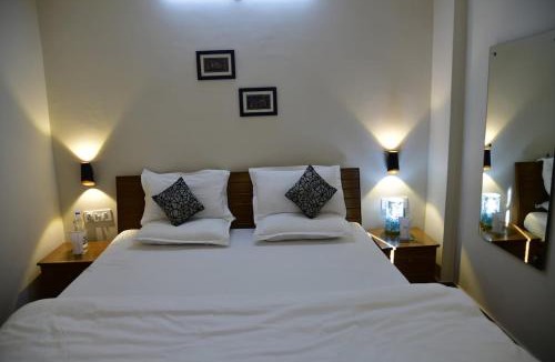 McLeod Ganj Apartment | Fiddlehead Fern