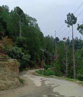 Kaul House | Geetanjali homestay