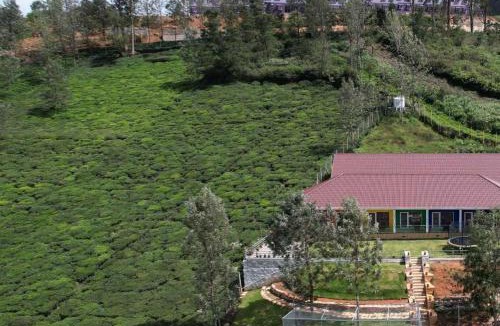 Kotagiri Hotel | GM Mountain View Resort