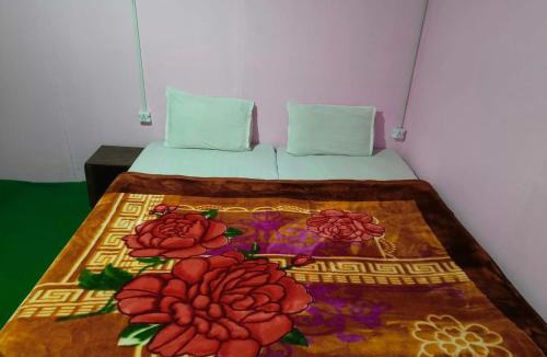 Leh Hotel | Golden Mark Cottage Tsomoriri Lake