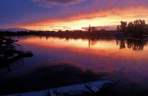 Dal Lake Boat Rental | Goona palace houseboats