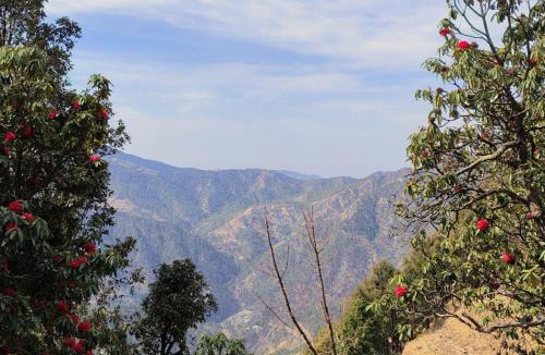 Tehri House | Green View, devalsari