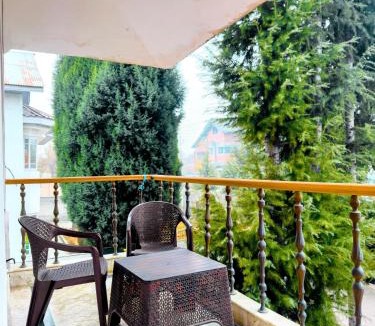 Srinagar Hotel | Greenoriva Aero Srinagar