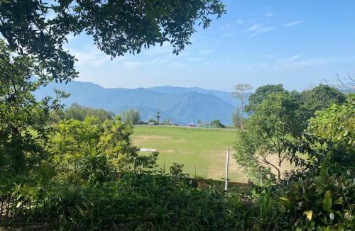Turuk House | Grey Dove Homestay