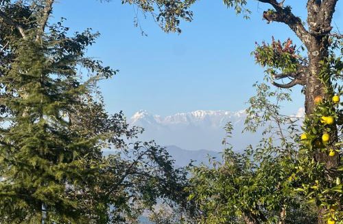 Almora Bed & Breakfast | Haus Of Shizu Kasar Devi