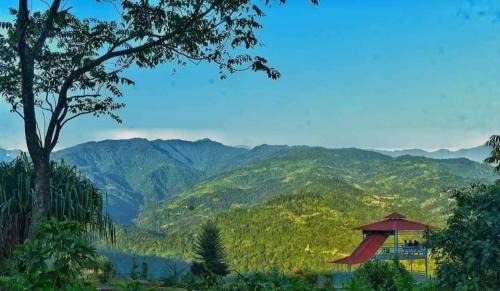 Kumai House | Healing Hills Homestay