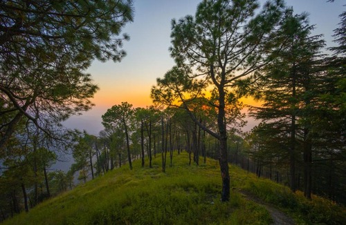 Shimla House | Hemkunj Fern by ELIVAAS