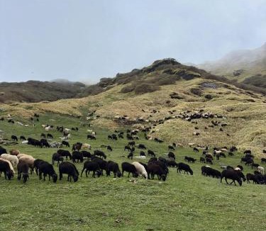 Dugalbitta House | Himalayan Hills homestay