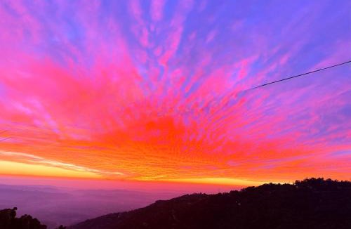 McLeod Ganj Bed & Breakfast | Himalayan Suite
