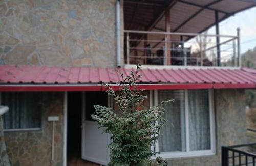 Mukteshwar Villa | Himdarshan view