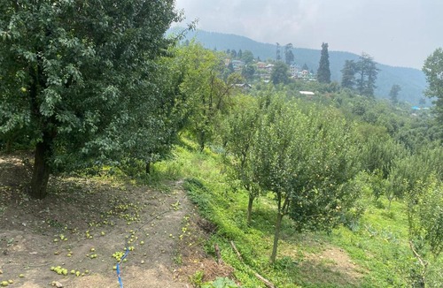 Kullu House | Hippies farmhouse