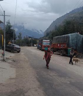 Sangla House | Hotel classic kuppa sangla