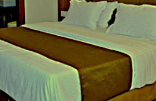 Mohali Hotel | Hotel Emience
