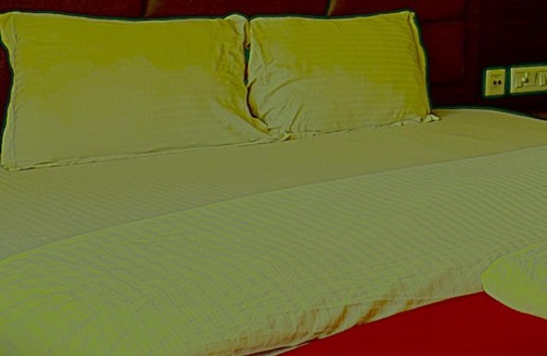 Kasauli Hotel | Hotel Ghumog Stay In Kasauli