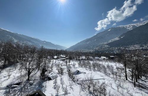 Aleo Hotel | Hotel NSB Manali