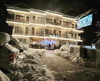Aleo Hotel | Hotel NSB Manali