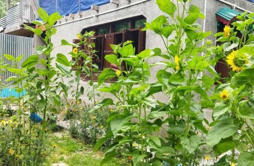 Gulmarg Apartment | Hotel O POP Maryam Villa