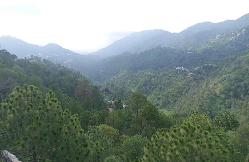 Dharampur Hotel | Hotel Pine View