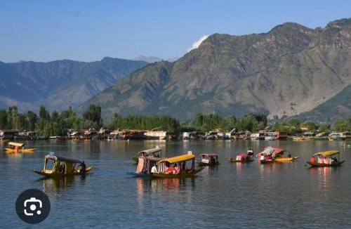Dal Lake Hotel | houseboat star ruby snow view