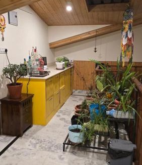 Shimla House | Husnara