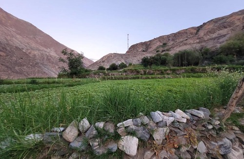 Leh House | ITW- Into The Wild Camps , Tyakshi , Leh