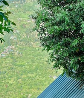 Banjar Ski Chalet | Jibhi Pine Nature Tree house