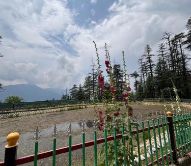 Banjar House | Jibhi wooden cottage