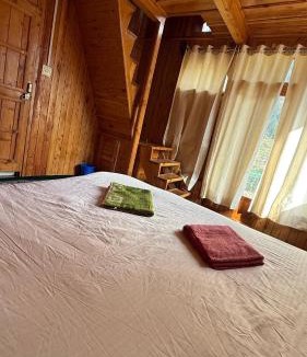 Banjar House | Jibhi wooden cottage