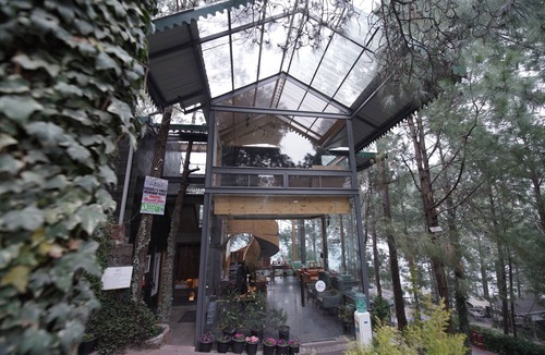 Kasauli Hotel | Kasauli Hills Resort