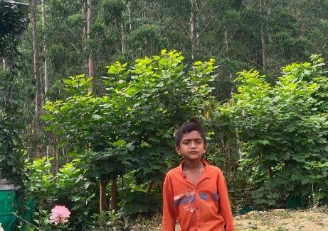 Periyur House | KGX HOME STAY Vattavada Oorkad