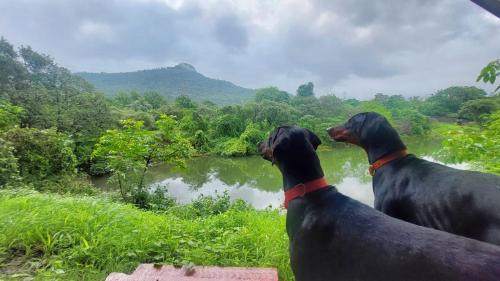 Khalapur Villa | Lakeside Boheme Inn