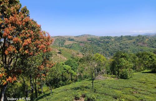 Vagamon House | Leaf mountain view holidays rooms