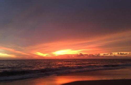 Alappuzha Resort | Lemon Dew Beach House, Alleppey Beach