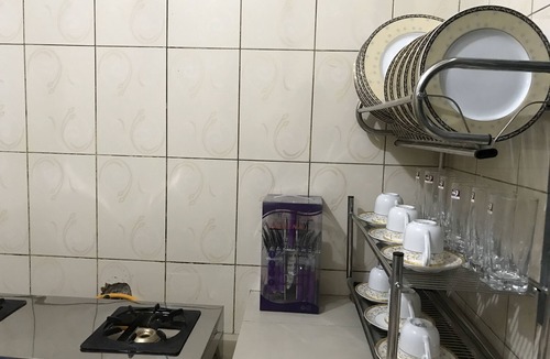 Dhaka Apartment | Living At Home