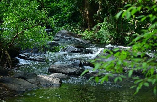 Madapura House | Lotus Exotica Homestay