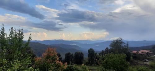 Almora House | Maa Anand Mayee Guest House