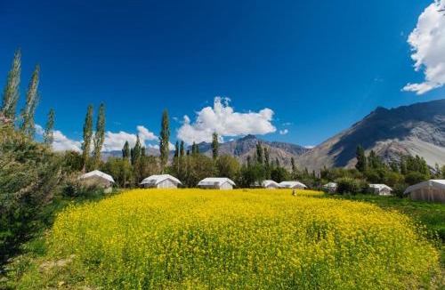 Hunder Bed & Breakfast | Magpie Camp Ladakh by LexStays