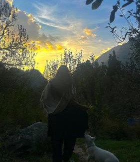 Kullu House | Mansa Homestay
