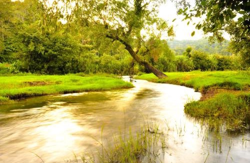 Somvarpet Resort | Meriyanda Nature Retreat