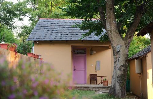 Suja Resort | Misty Mountain Retreat