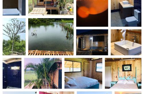 Cox's Bazar Resort | Moon Nest