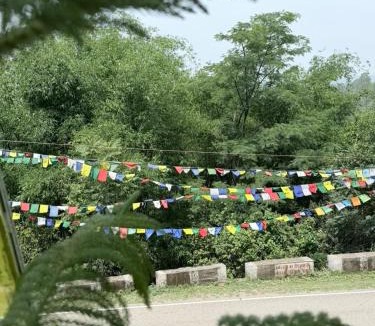 Sarkaghat House | Mount View