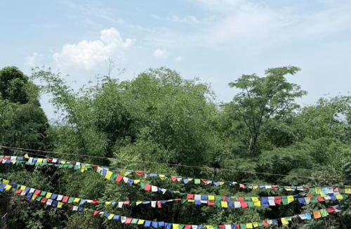 Sarkaghat House | Mount View