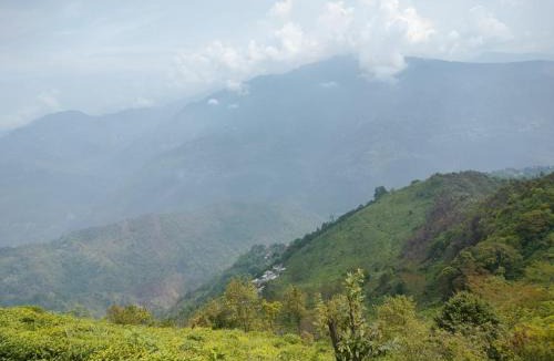 Takdah House | Mukhia homestay Takdah