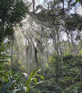 Udumbanchola House | Munnar Valley Cardamom Farm Stay