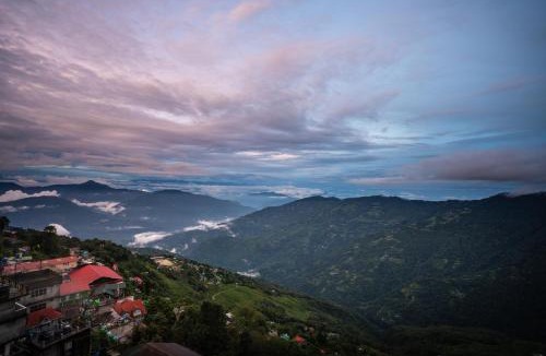 Darjeeling Hotel | Muscatel Stardust - Chowrasta Mall Road
